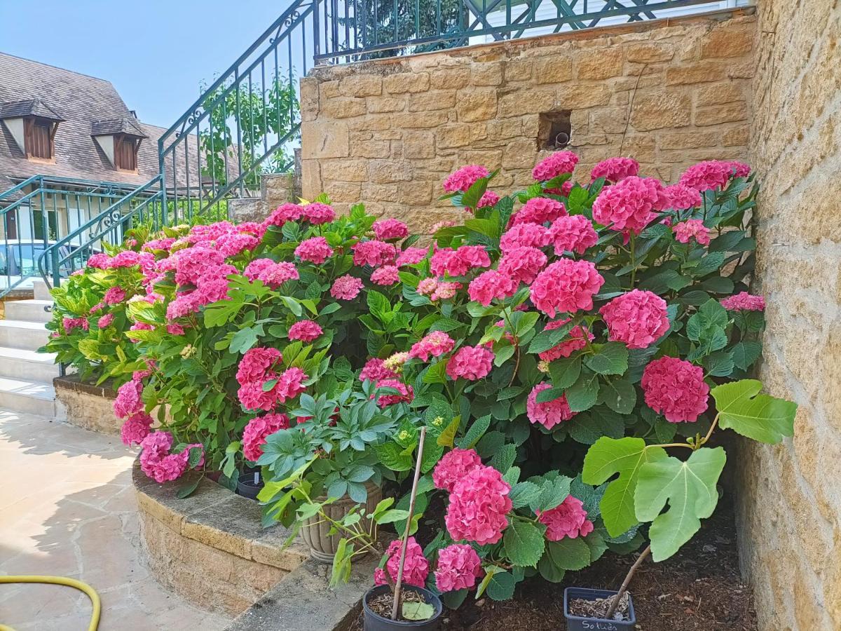La Villa Perigourdine Sarlat-la-Canéda Exteriér fotografie